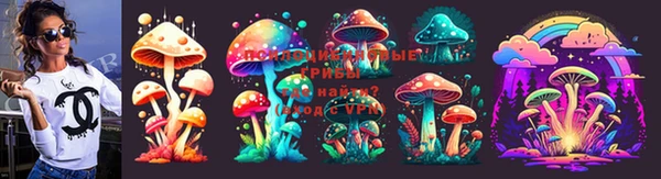 стафф Новодвинск