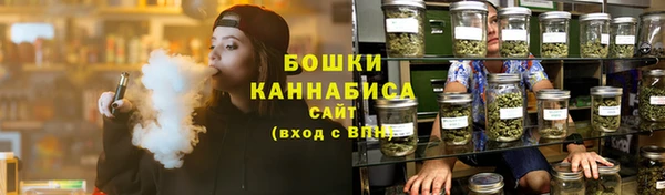 стафф Новодвинск