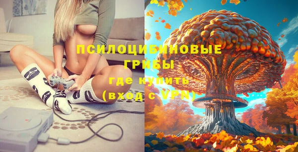 ПСИЛОЦИБИНОВЫЕ ГРИБЫ Лихославль