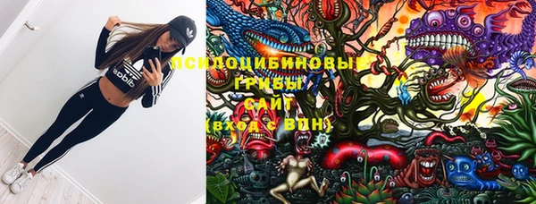 ПСИЛОЦИБИНОВЫЕ ГРИБЫ Лихославль