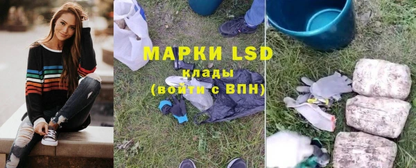 шишки Майский