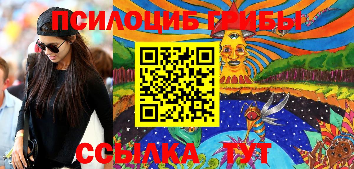 Галлюциногенные грибы Psilocybine cubensis  Галлюциногенные грибы MAGIC MUSHROOMS  Усть-Илимск  где купить   Вход с VPN 
