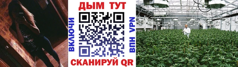 Шишки марихуана семена  сколько стоит  Усть-Илимск 